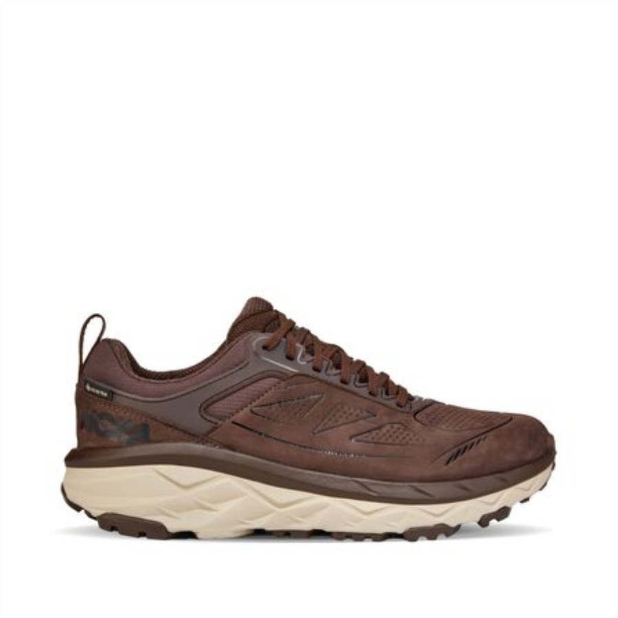 Challenger Low GTX Hoka-Demitasse